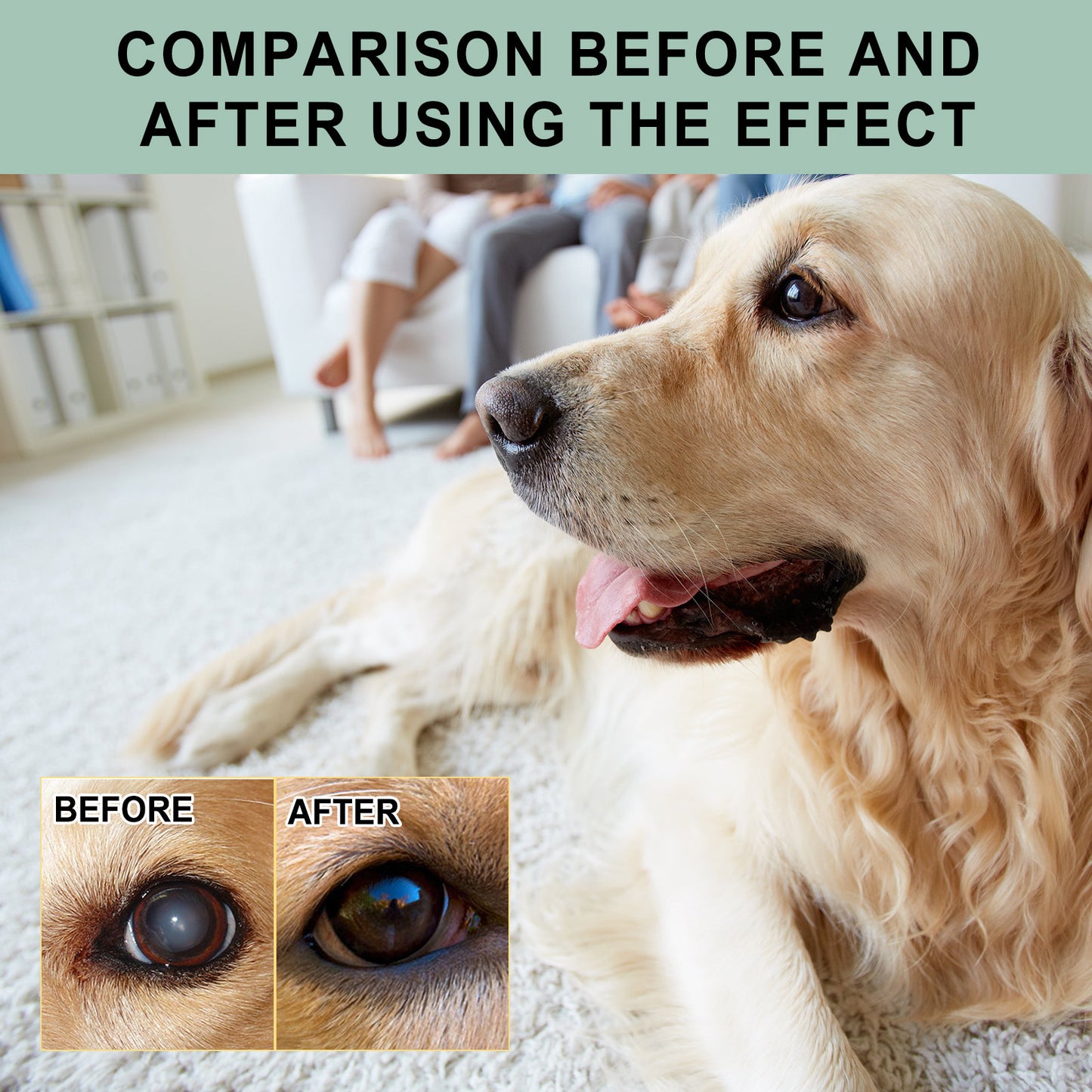 Dogs And Cats Eye Care Eye Drops
