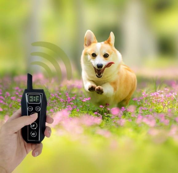 Fashion Pet Supplies Remote Control Dog Trainer