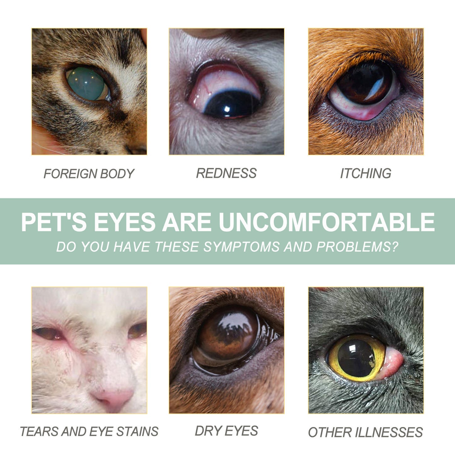 Dogs And Cats Eye Care Eye Drops
