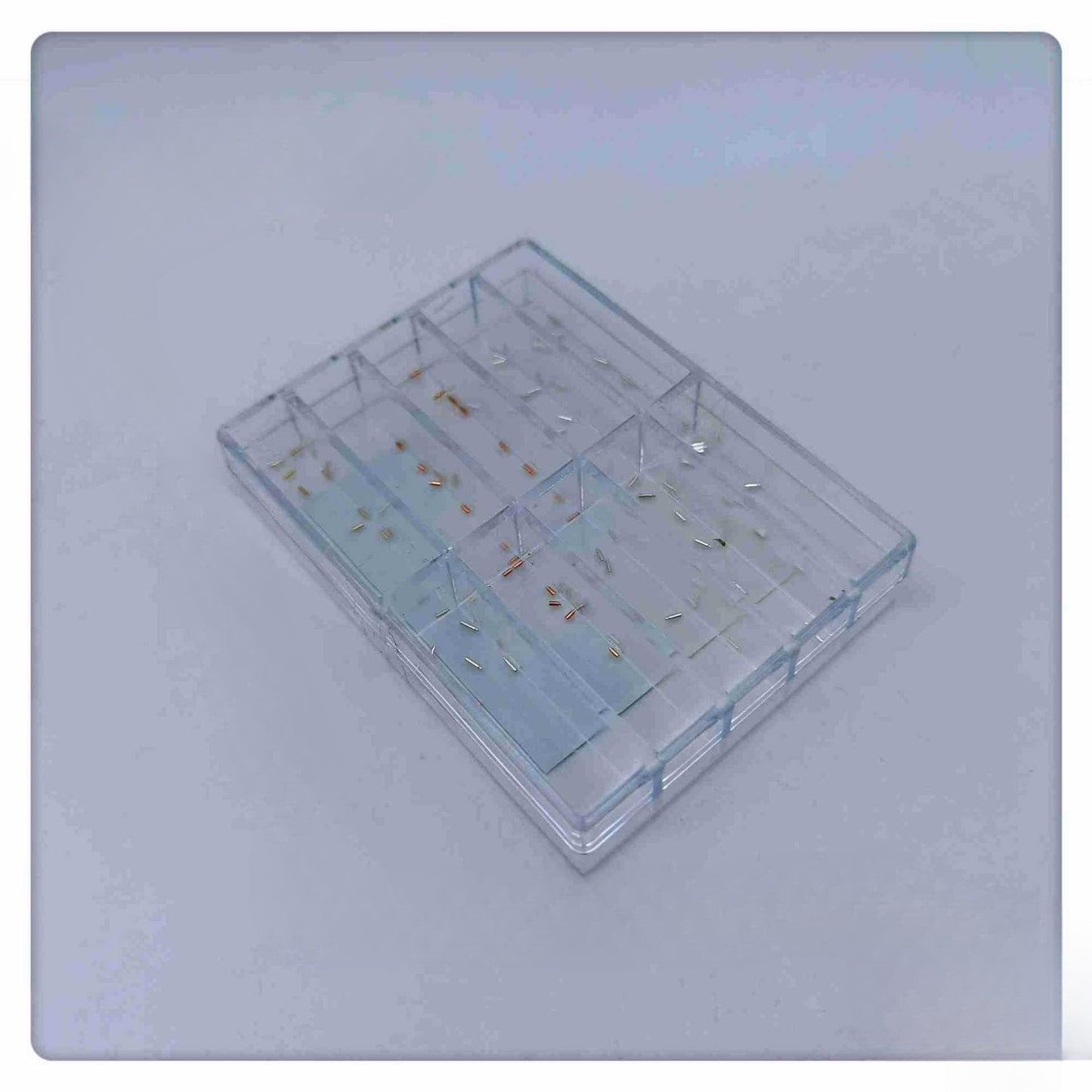 Watch Holder Literal Foot Accessories