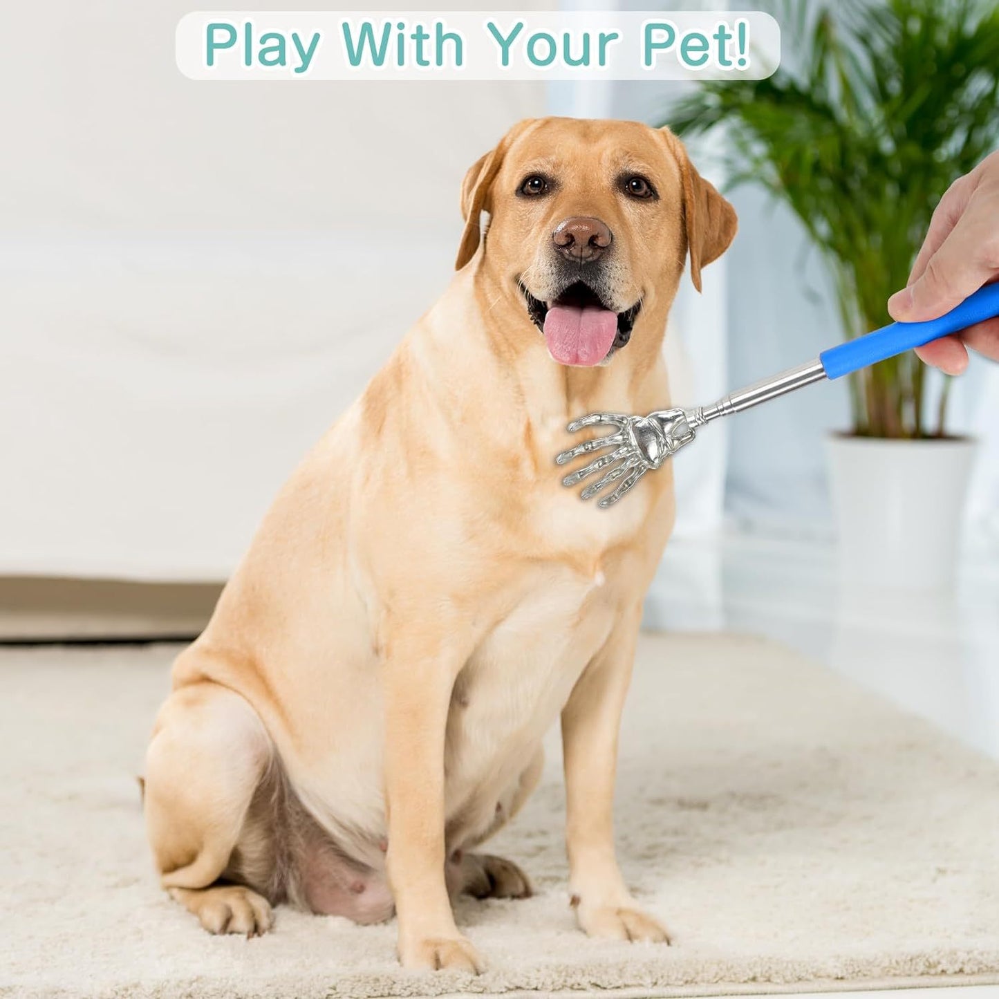 Interactive Cat Toys Retractable Cat Teaser Wand Toys Grooming Comb For Cats Dogs Telescopic Play Toys For Indoor Cats Dogs Funny Kitten Toy